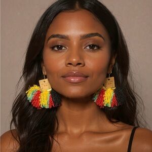 Colorful Tassel Earrings